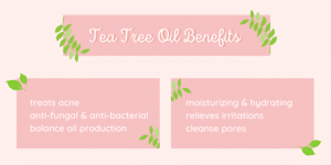 can tea tree oil help with acne